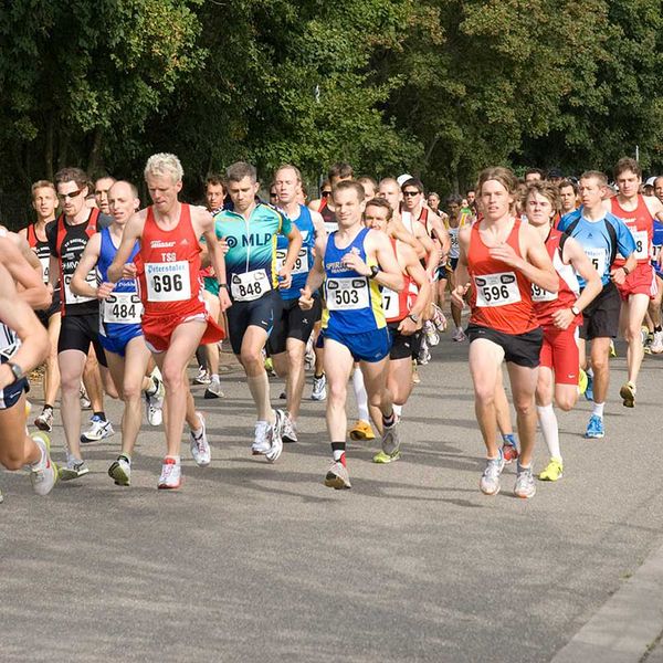Baden-Württembergische Halbmarathon-Straßenlaufmeisterschaften