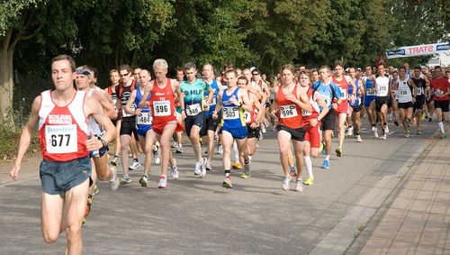 Baden-Württembergische Halbmarathon-Straßenlaufmeisterschaften